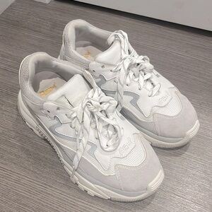 Ash Addict Sneaker size:39 color:gray and white
